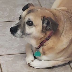 Meet your Posher, Isaiah